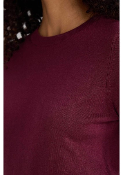 Regular Fit Bisiklet Yaka Kısa Kollu Triko Kazak D6272AX25AU indirimleri