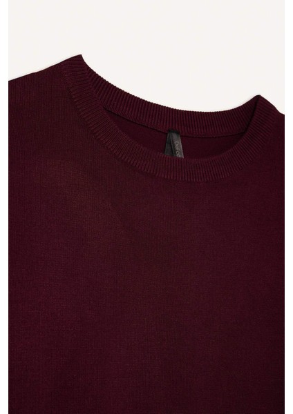 Regular Fit Bisiklet Yaka Kısa Kollu Triko Kazak D6272AX25AU