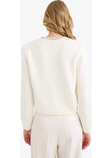 Regular Fit Bisiklet Yaka İşlemeli Triko Hırka F3896AX25WN indirimleri