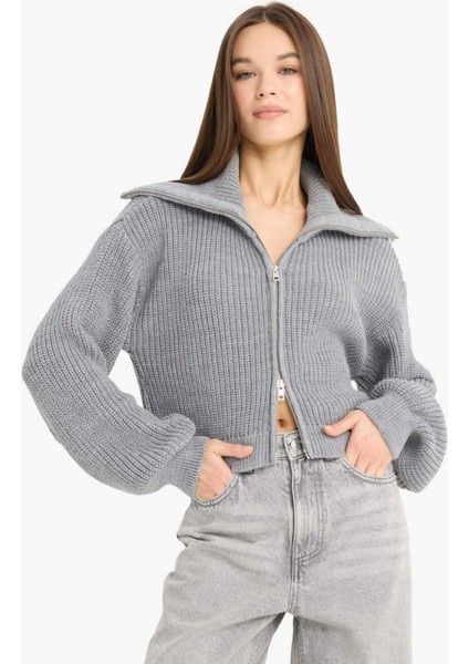 Slim Fit Dar Kesim Polo Yaka Fermuarlı Triko Hırka A3333AX25WN modelleri