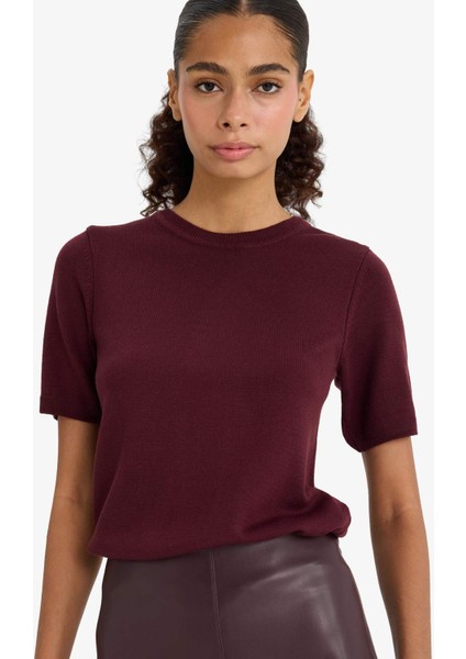 Regular Fit Bisiklet Yaka Kısa Kollu Triko Kazak