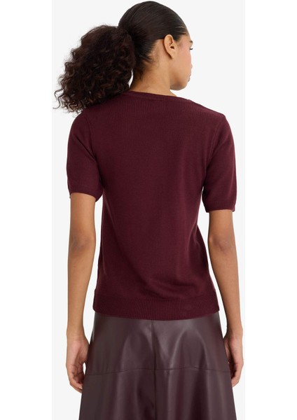 Regular Fit Bisiklet Yaka Kısa Kollu Triko Kazak