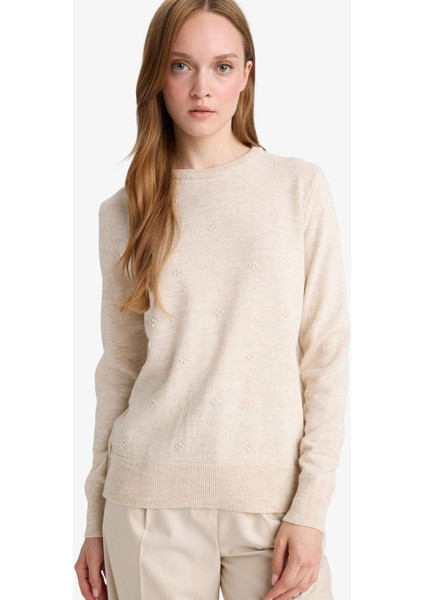 Regular Fit Bisiklet Yaka Triko Kazak F4084AX25WN