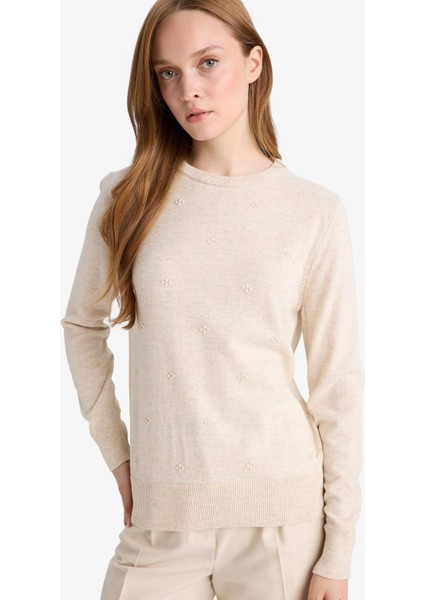 Regular Fit Bisiklet Yaka Triko Kazak F4084AX25WN modelleri