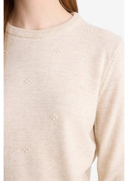 Regular Fit Bisiklet Yaka Triko Kazak F4084AX25WN indirimleri