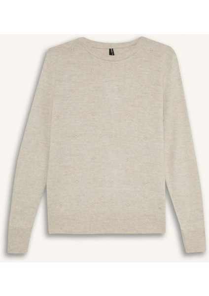 Regular Fit Bisiklet Yaka Triko Kazak F4084AX25WN