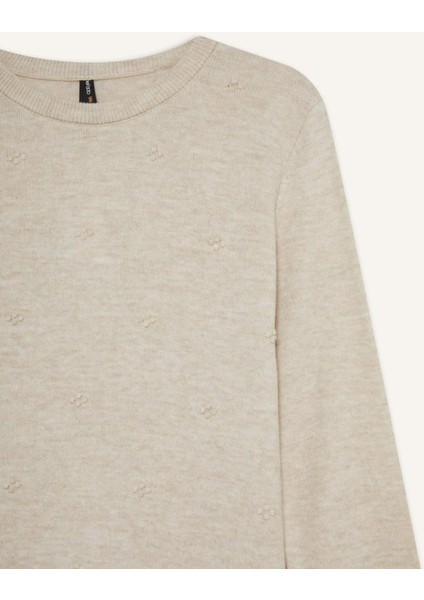 Regular Fit Bisiklet Yaka Triko Kazak F4084AX25WN