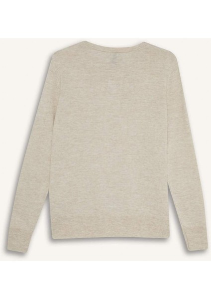 Regular Fit Bisiklet Yaka Triko Kazak F4084AX25WN