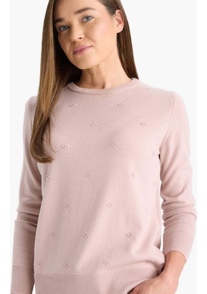 Regular Fit Bisiklet Yaka Triko Kazak F4084AX25WN