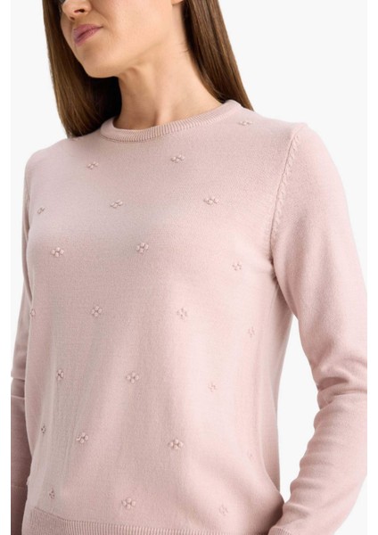 Regular Fit Bisiklet Yaka Triko Kazak F4084AX25WN