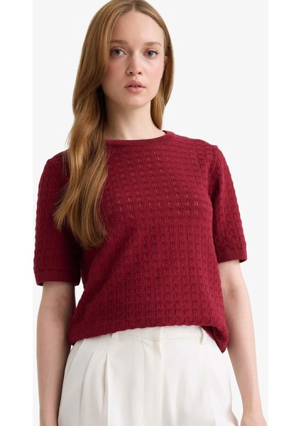 Regular Fit Bisiklet Yaka Kısa Kollu Triko Kazak F4974AX25AU