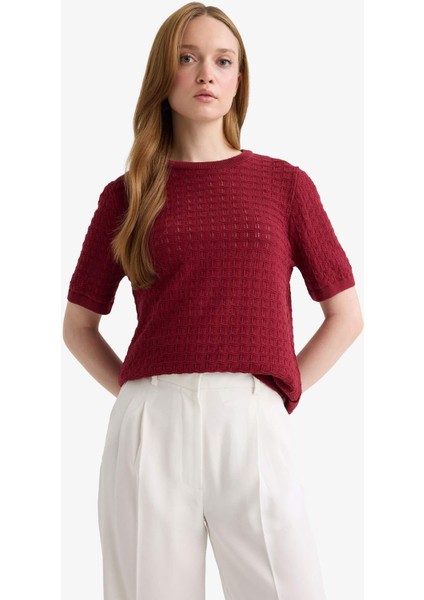 Regular Fit Bisiklet Yaka Kısa Kollu Triko Kazak F4974AX25AU fırsatları