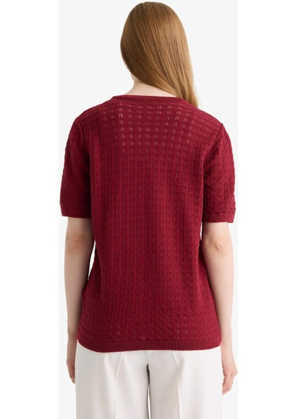 Regular Fit Bisiklet Yaka Kısa Kollu Triko Kazak F4974AX25AU