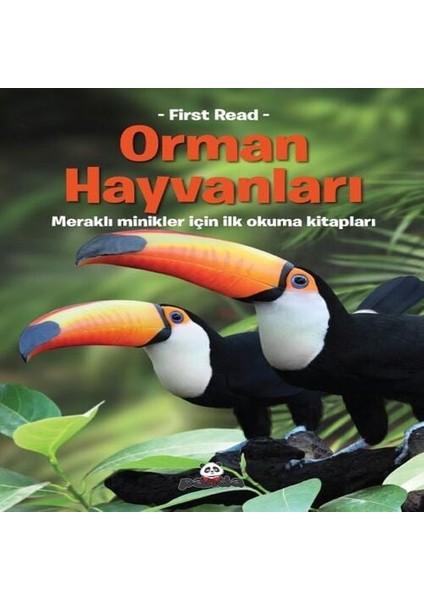 Orman Hayvanları