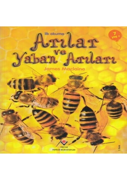 Ilk Okuma - Arılar ve Yaban Arıları