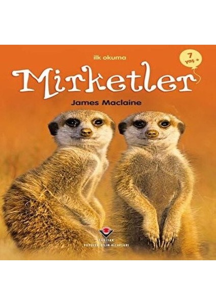 Ilk Okuma - Mirketler