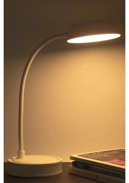 Şarjlı 20 LED Masa Lambası, Renk ve Parlaklık Ayarlı, Çalışma ve Okuma Için Işık modelleri