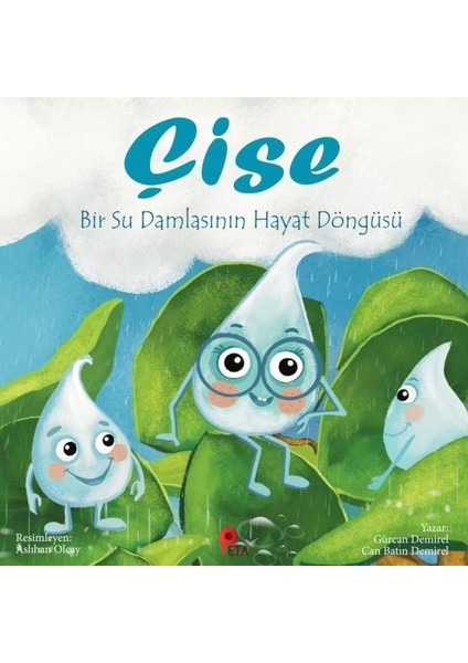 Çise: Bir Su Damlasının Hayat Döngüsü