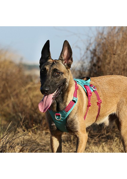 Tactical Mavi Köpek Göğüs Tasması fırsatları