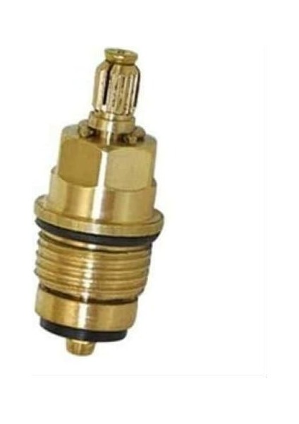 Içi Salmastra Ekonomik