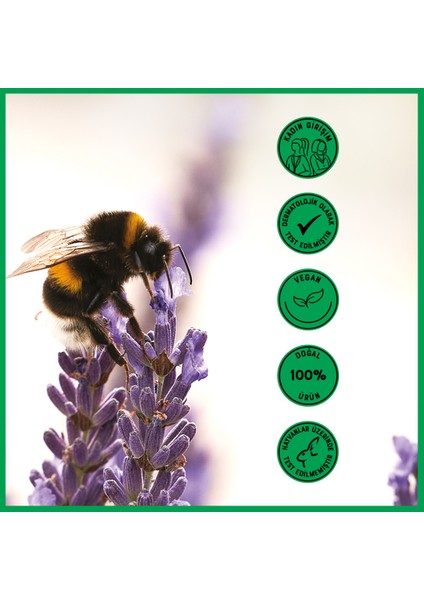 HonE %100 DOĞAL VE ORGANİK içerikli Pişik Krem/ Heaven on Earth HonE 100% Natural Diaper Rash Cream-75gr