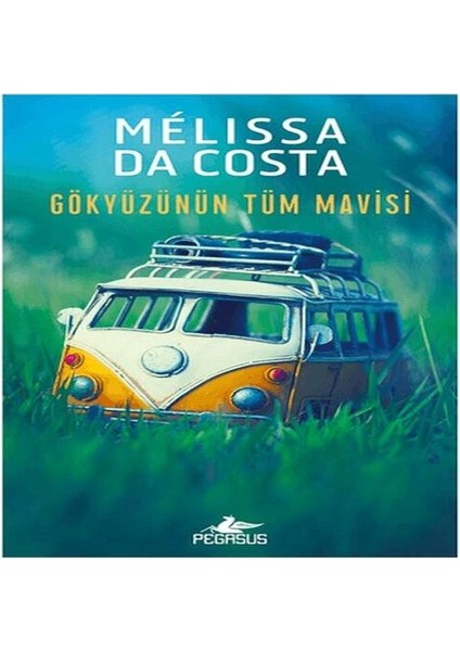 Gökyüzünün Tüm Mavisi