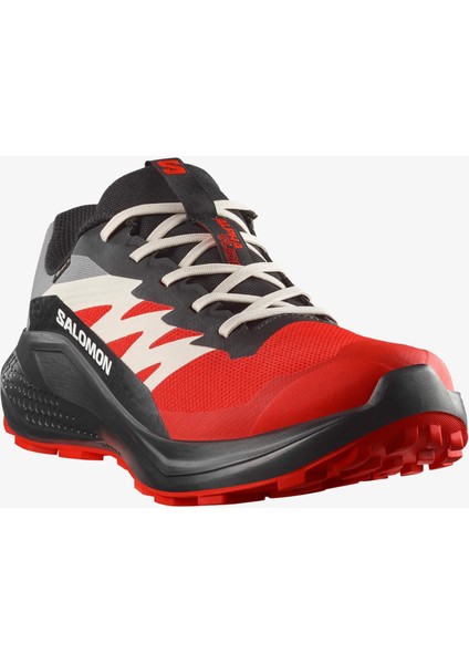 Alphaglıde Gore-Tex Erkek Koşu Ayakkabısı Flame Scarlet L47975200 fırsatları