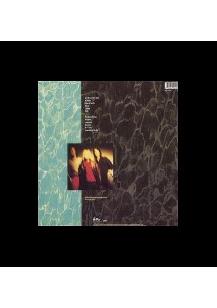 Nirvana - Nevermind - Plak fiyatları