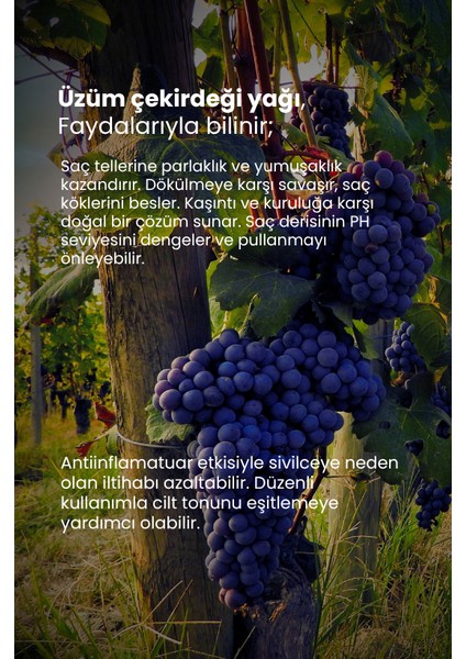 Thermal Üzüm Çekirdeği Yağı 10 ml modelleri