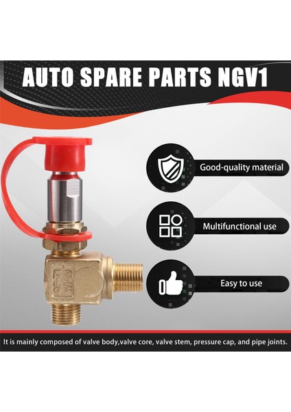 Oto Yedek Parçaları Ngv1 Dolum Vanası Gnc Gaz Silindir Vanası Araba Silindiri Cng Cng Için Komple Kitler (Yurt Dışından) indirimleri