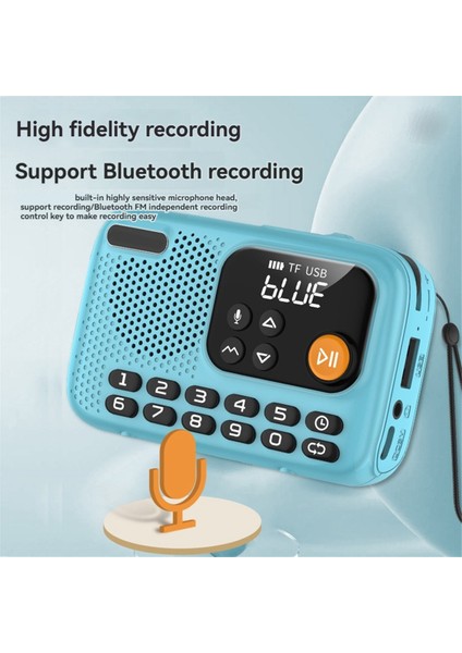 Taşınabilir Fm Radyo Kablosuz Bluetooth Hoparlör Kaydedici LED Ekran Desteği Tf Kart U Disk Ev Dış Mekan B (Yurt Dışından) modelleri