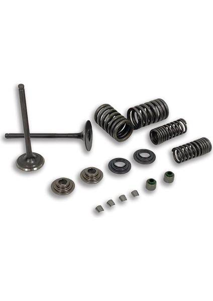 14711-KSP-910 Motosiklet Motoru Valf Yayları Giriş Giriş Sapı Conta Yay Takımı Honda CBF150 XR150 KTT150 SDH150 Için (Yurt Dışından)