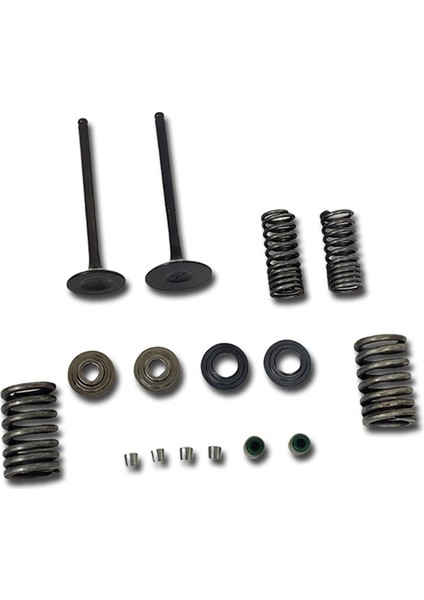 14711-KSP-910 Motosiklet Motoru Valf Yayları Giriş Giriş Sapı Conta Yay Takımı Honda CBF150 XR150 KTT150 SDH150 Için (Yurt Dışından) fiyatları