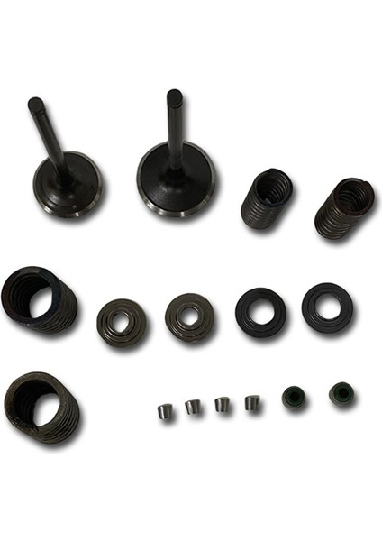 14711-KSP-910 Motosiklet Motoru Valf Yayları Giriş Giriş Sapı Conta Yay Takımı Honda CBF150 XR150 KTT150 SDH150 Için (Yurt Dışından) modelleri