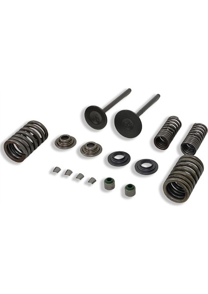 14711-KSP-910 Motosiklet Motoru Valf Yayları Giriş Giriş Sapı Conta Yay Takımı Honda CBF150 XR150 KTT150 SDH150 Için (Yurt Dışından) indirimleri