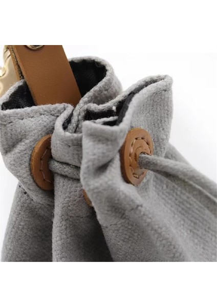 Köpek Ödül Poşeti, Bağcıklı Taşınabilir Eğitim Çantası, Su Geçirmez - Yürüyüş ve Açık Hava Aktiviteleri Için Ideal (Yurt Dışından) modelleri