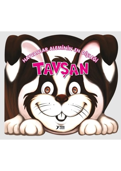 Hayvanlar Aleminin En Dişleği : Tavşan