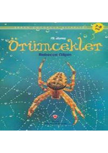 Ilk Okuma - Örümcekler