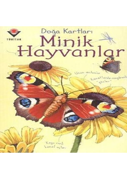 Doğa Kartları - Minik Hayvanlar