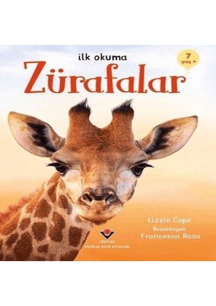 Ilk Okuma Zürafalar