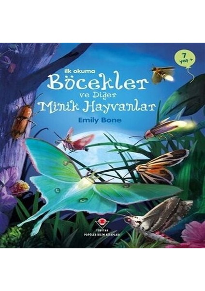 Ilk Okuma - Böcekler ve Diğer Minik Hayvanlar