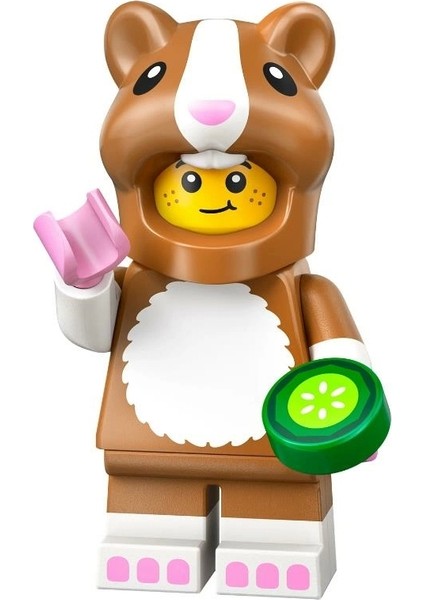 Minifigures 71048 Series 27 12'li Set fiyatları