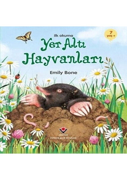 Ilk Okuma - Yer Altı Hayvanları