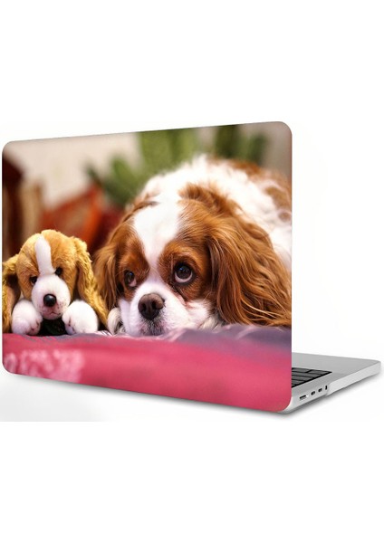 MacBook Pro 16 Inç Kılıf 2020 2019 Sürümü A2141 ile Uyumlu, Touch Bar Touch Id, Ultra Ince Koruyucu Plastik Sert Kılıf (Yurt Dışından)