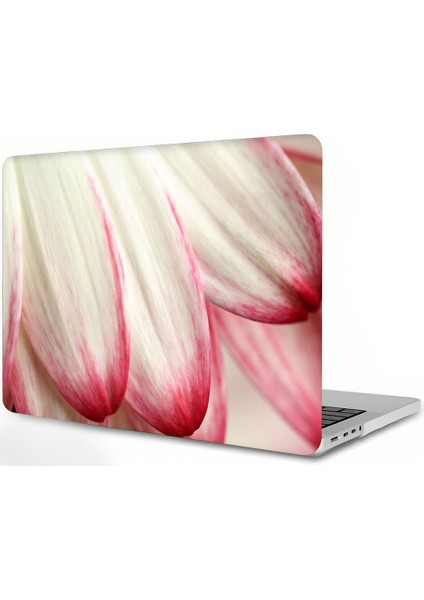 MacBook Air 13 Inç Kılıf ile Uyumlu, Sert Plastik Koruyucu Kılıf Air 13.3 Çizilmez Kauçuk Kılıf Kapağı (2010-2017 Eski Ver.) MacBook Air 13.3" A1466 ve A1369 (Yurt Dışından)