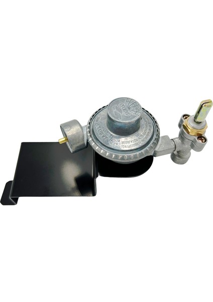 Q100 Q120 Serisi Gaz Izgaraları Için 80477 Vana Regülatörü (Yurt Dışından)