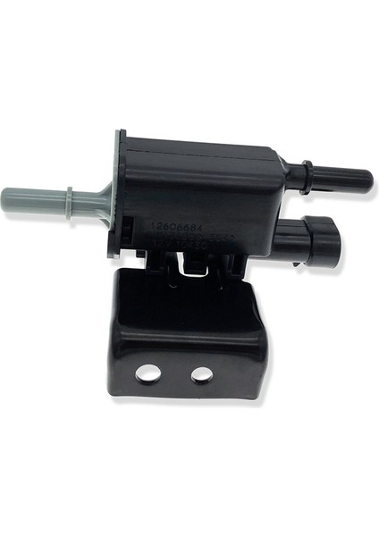 Evap Buhar Haznesi Temizleme Vanası Solenoidi 12597567 Için (Yurt Dışından) modelleri