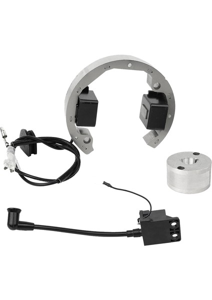 Motosiklet Bobini Ateşleme Bobini Stator Rotor Takımı Montajı (Yurt Dışından) fiyatları