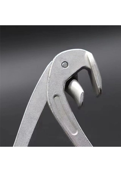 Sag Onarım Aleti Bıçak Plakası Düz Delik Pense (Yurt Dışından) fiyatları