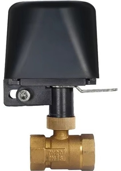 DN15 Kablosuz Kontrol Çalışma+Alexa Ev Abd Fişi (Yurt Dışından) fiyatları